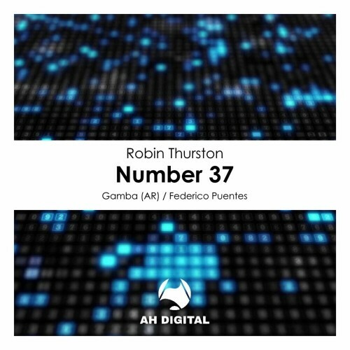 VA - Robin Thurston - Number 37 (2022) (MP3)