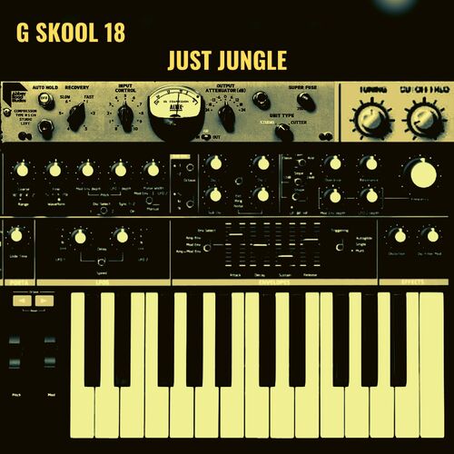 VA - Just Jungle - G Skool Vol 18 (2022) (MP3)