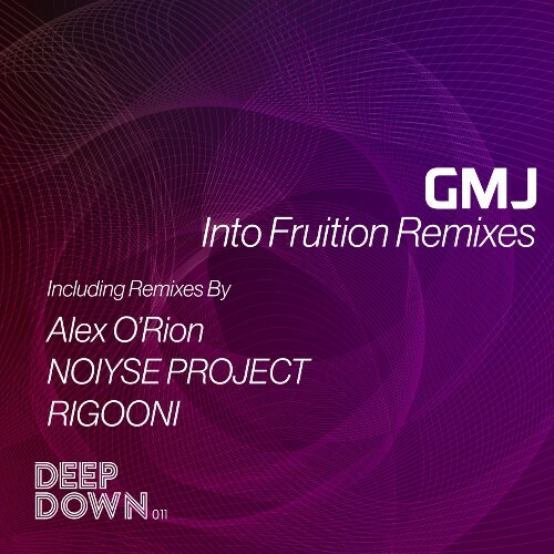 VA - GMJ - Into Fruition Remixes (2022) (MP3)