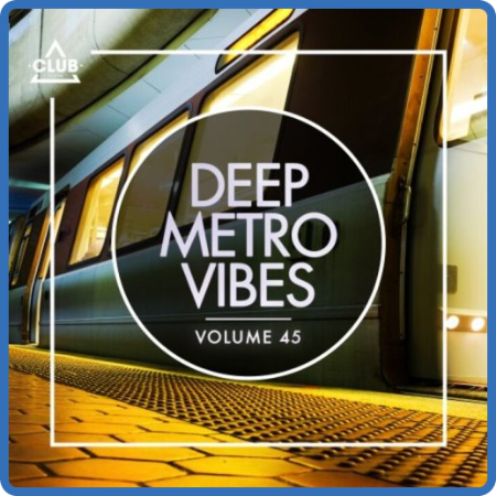 VA - Deep Metro Vibes, Vol  45 (2022)