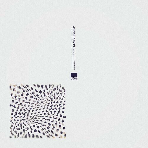 VA - Alex Remter - Sensorium EP (2022) (MP3)
