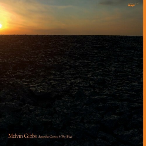 VA - Melvin Gibbs - Anamibia Sessions 1: The Wave (2022) (MP3)