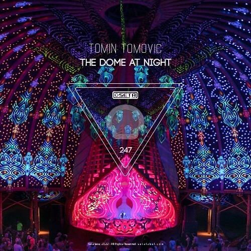 Tomin Tomovic - The Dome at Night (2022)