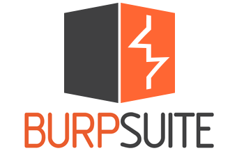 Burp Suite Professional 2022.11.4