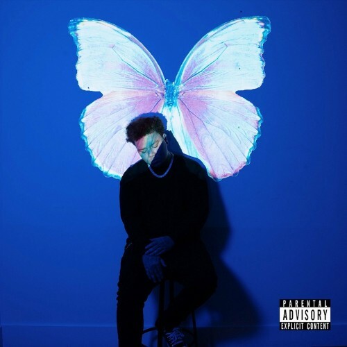 VA - Phora - The Butterfly Effect (2022) (MP3)