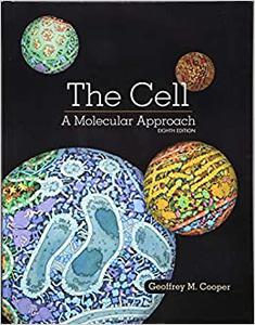The Cell A Molecular Approach 