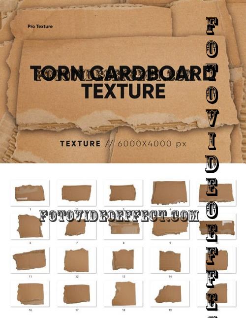 20 Torn Cardboard Textures 