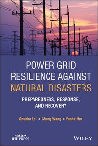 Power Grid Resilience against Natural Disasters Preparedness, Response, and Recovery