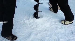 Нечто: Возвращение  (2021)