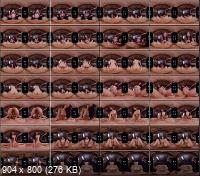 BaDoinkVR - Sophia Leone - The Perks Of Art (UltraHD 2K/1440p/3.54 GB)