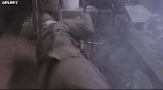 Нечто: Возвращение  (2021)