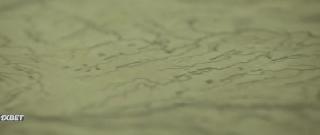 Грин Флейк (2020)