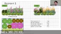 Готовые планы цветников из многолетников, растущих на каждом участке (2022/PCRec/Rus)