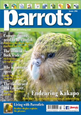 Parrots – March 2021