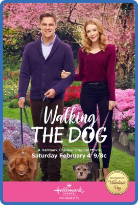 Walking The Dog 2017 1080p WEBRip x265-RARBG