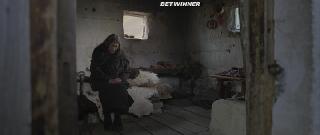 Имена цветов (2019)