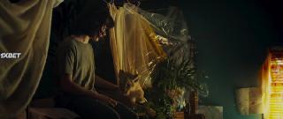 Король-львенок (2022)