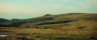 Король-львенок (2022)