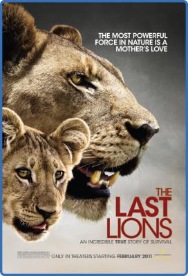 The Last Lions 2011 1080p BluRay x264-OFT