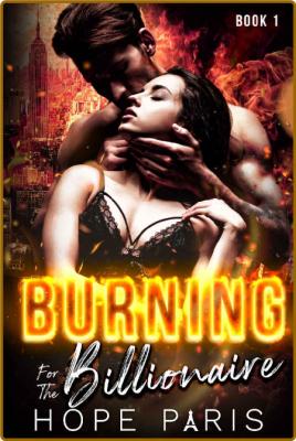 Burning For The Billionaire  An - Hope Paris _2b173c2b5d9dad5530d3a314ae6b0053