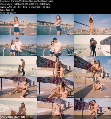 Sandra Wellness Public Sex On The Beach HD 720p