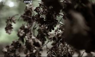 Ларец из китовой кости (2019)