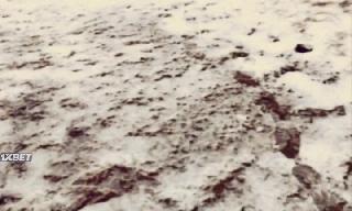 Ларец из китовой кости (2019)