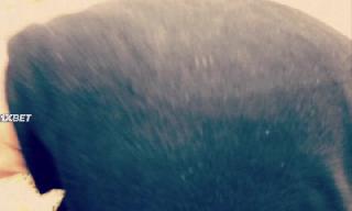 Ларец из китовой кости (2019)