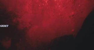 Кровь в воде (2022)