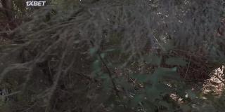 Попрощайся с Голливудом (2022)