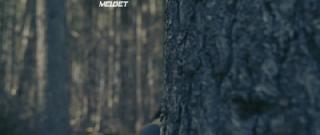 Поглощение (2021)