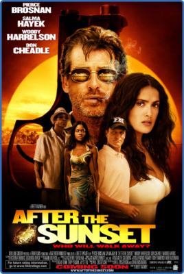 After The Sunset 2004 BluRay 720p DTS AC3 x264-MgB