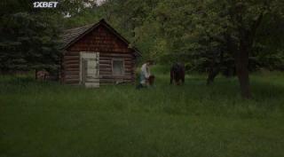 Око за око (2022)