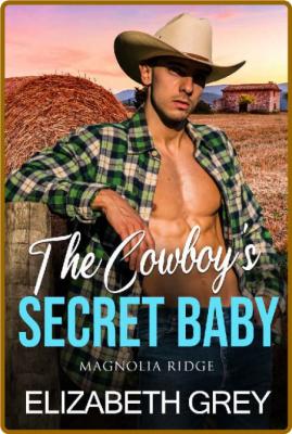 The Cowboy's Secret Baby  Secre - Elizabeth Grey