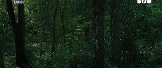 Не оставайся один (2019)