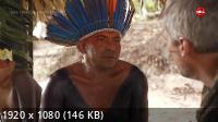    .  / Au Bout c'est la Mer. L'Amazone (2019) HDTV 1080i