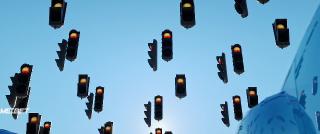 Птицы, как мы (2017)