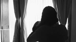 Пеликан (2019)