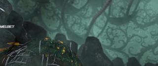 Птицы, как мы (2017)