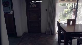 Пеликан (2019)