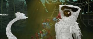 Птицы, как мы (2017)