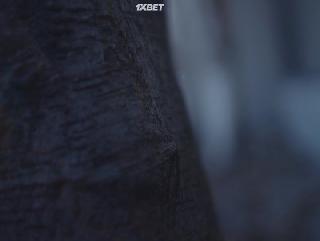 Учредители (2021)