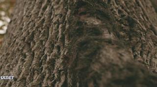 Глиняные зомби (2021)