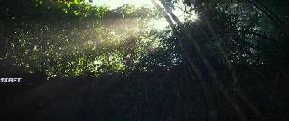 Школа волшебства (2021)