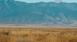 Аделина (2022)