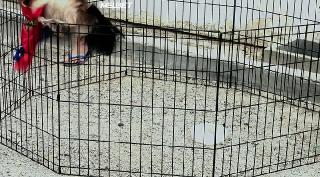 Год безделья (2019)