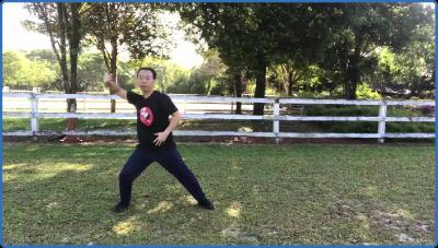 UDEMY Chen Style Tai Chi Competition Routine 56 Postures