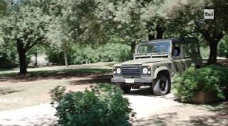 Просто добавь усы (2019)