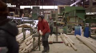 Проклятые леса (2021)