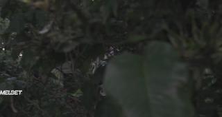 Сварщик (2021)